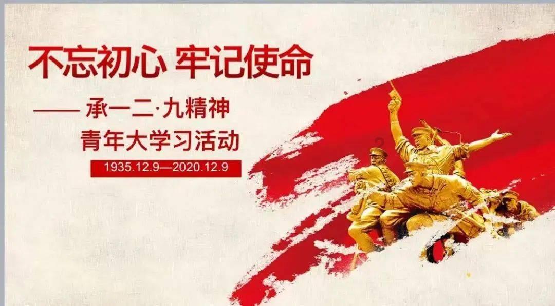 山东地区植物，叶子像榆树，秋天结红色小果，比绿豆稍大，学名叫什么？