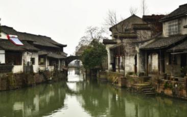 上海人与“吃茶”
